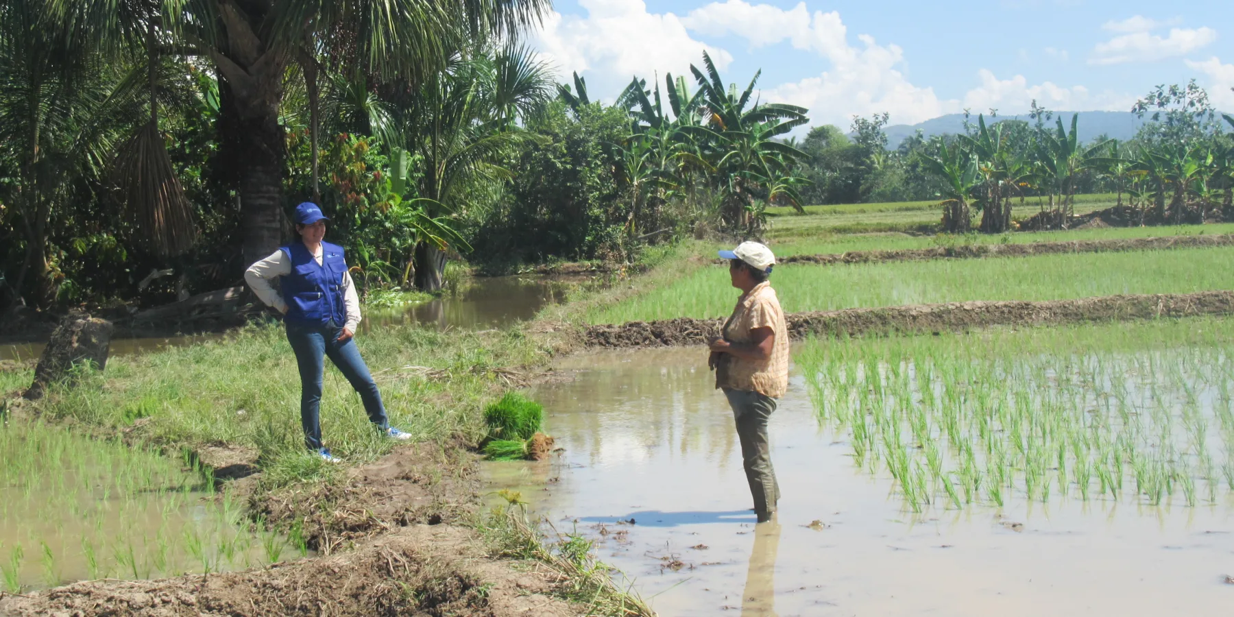 UNOPS and UNEP are jointly working with the National Water Authority (ANA) to strengthen institutional capacities for integrated water management.