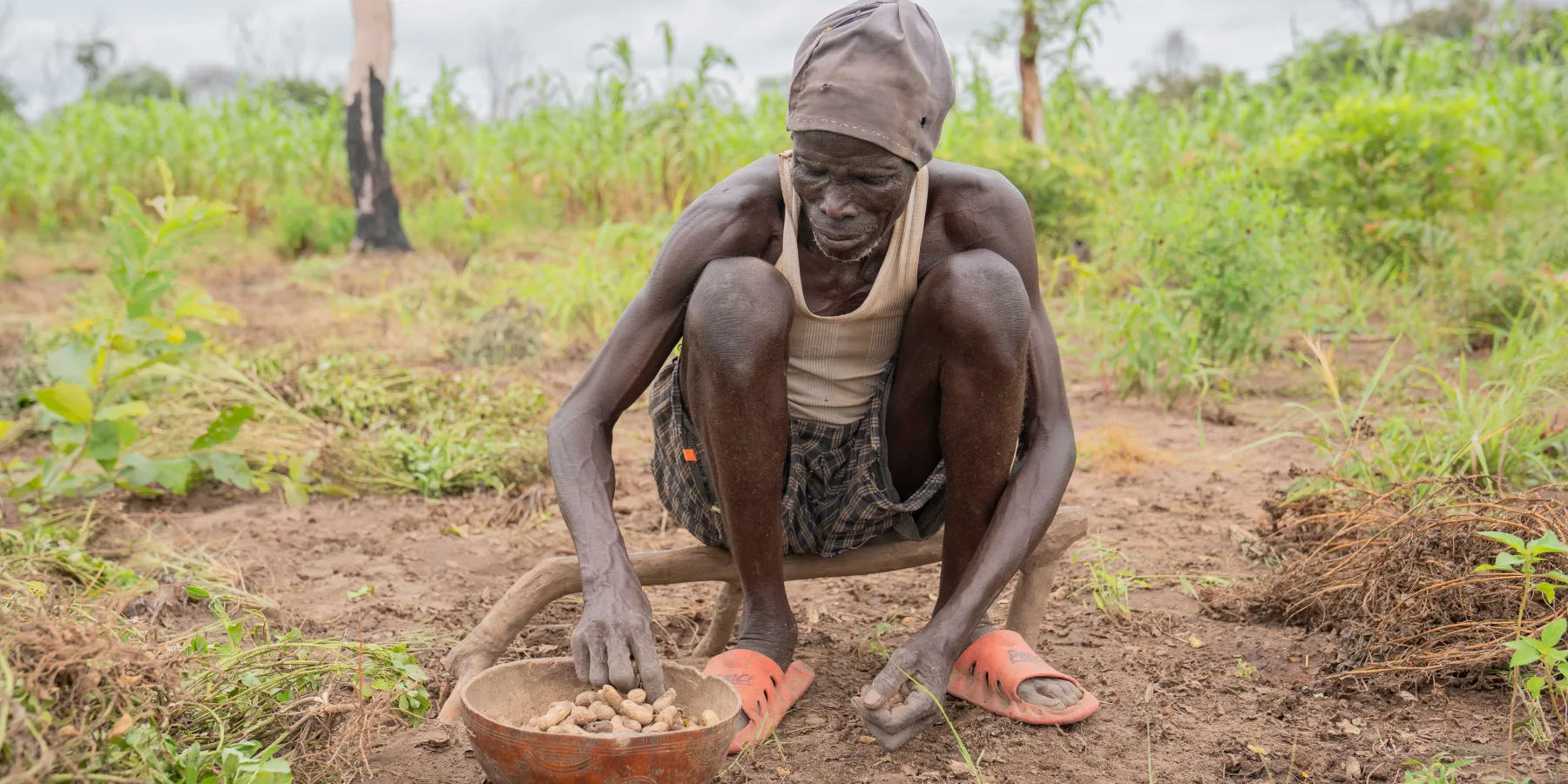 Joseph Dut Lual cosecha cacahuetes con su familia junto a la carretera de Kayango.