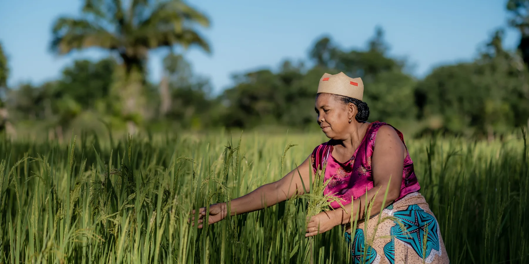 Christine, una agricultora, en su campo en la región de Fitovinany, en Madagascar, donde la nueva infraestructura ayuda a mejorar la productividad agrícola. © UNOPS/Harzoon Razafimandimby