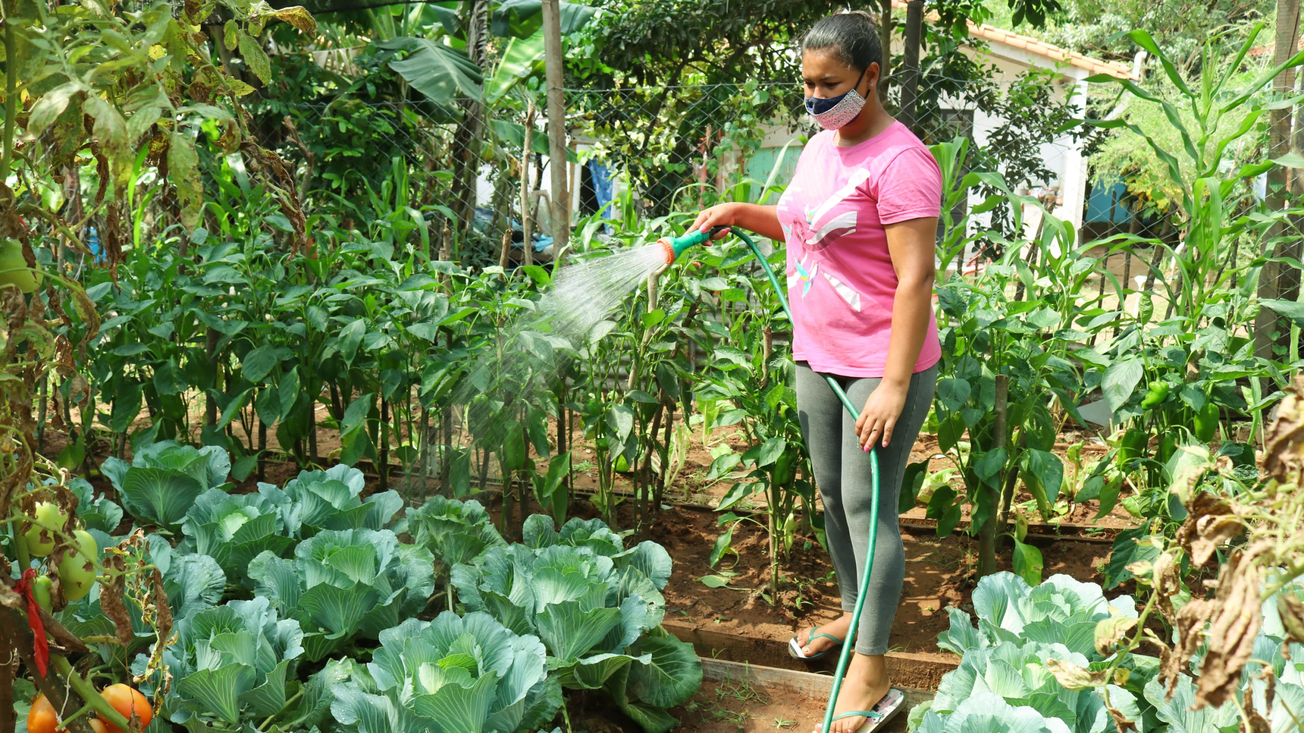 In her family garden Liz Yegros tends to her crops, including peppers, cabbage, tomatoes and lettuce.