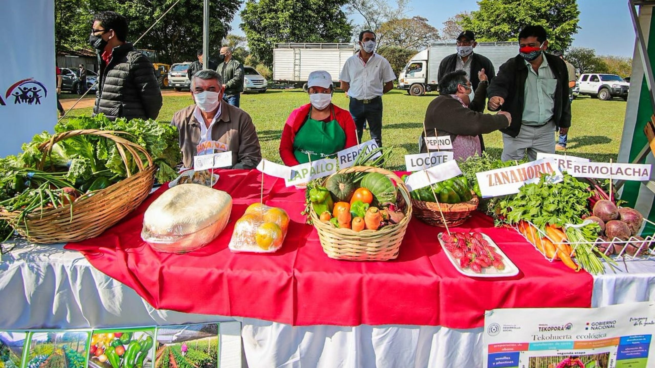 Participants received financial education and income was generated through the sale of products from family gardens, helping to reactivate local economies in the midst of COVID-19.