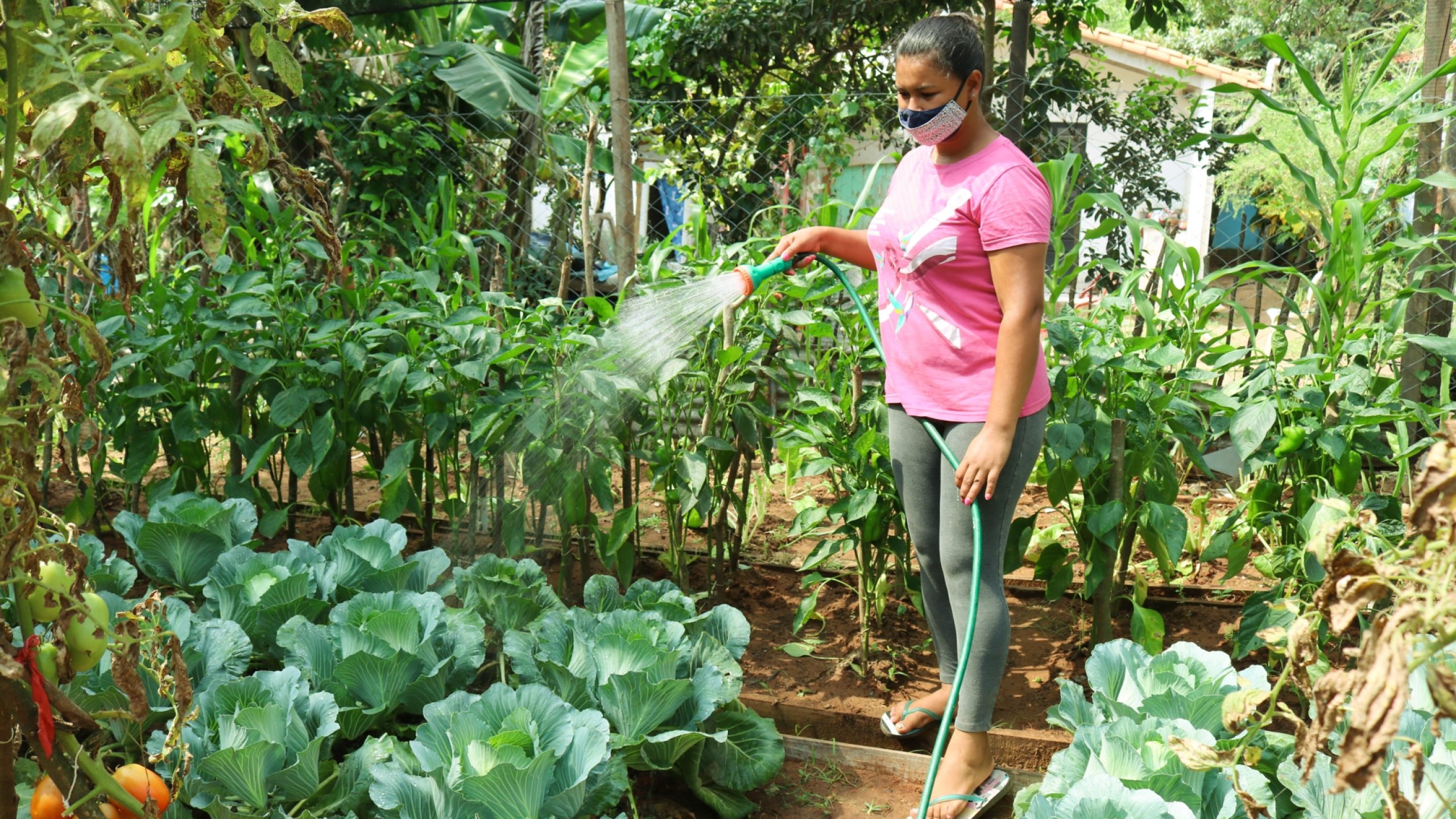 In her family garden Liz Yegros tends to her crops, including peppers, cabbage, tomatoes and lettuce.