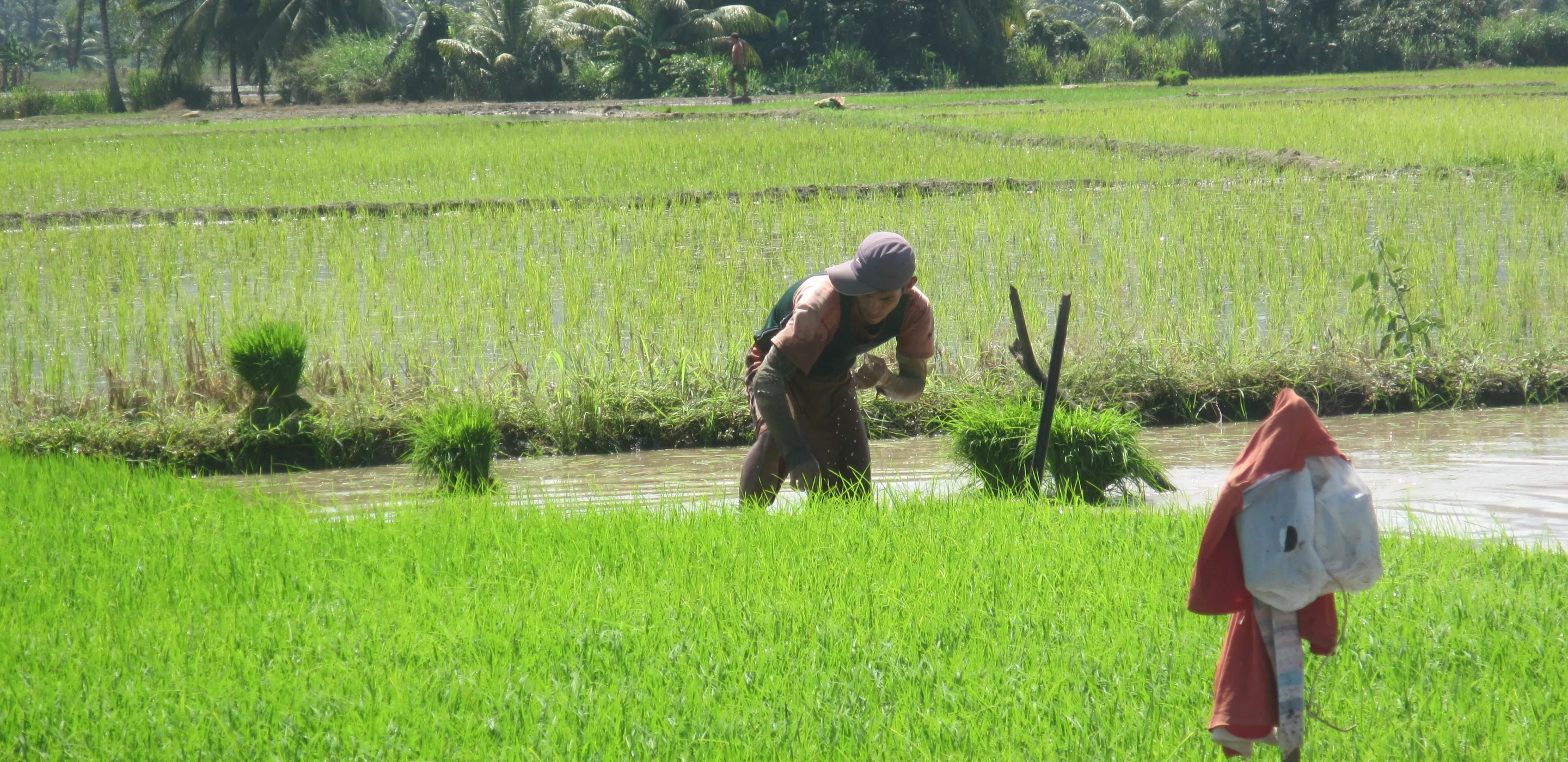UNOPS and UNEP are jointly working with the National Water Authority (ANA) to strengthen institutional capacities for integrated water management.