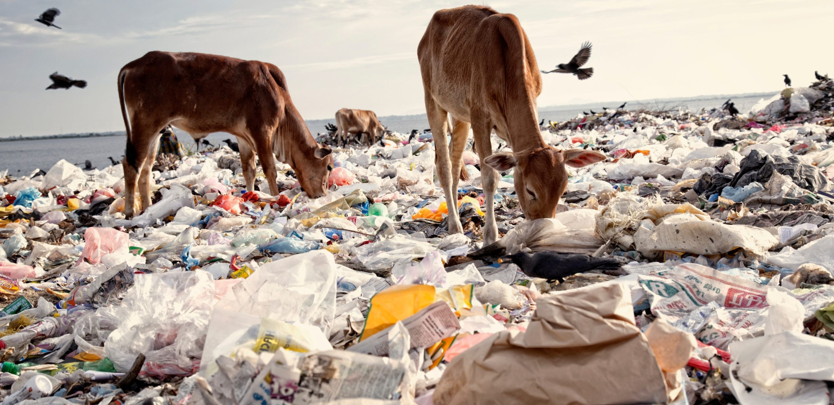 Cleaning up for good UNOPS