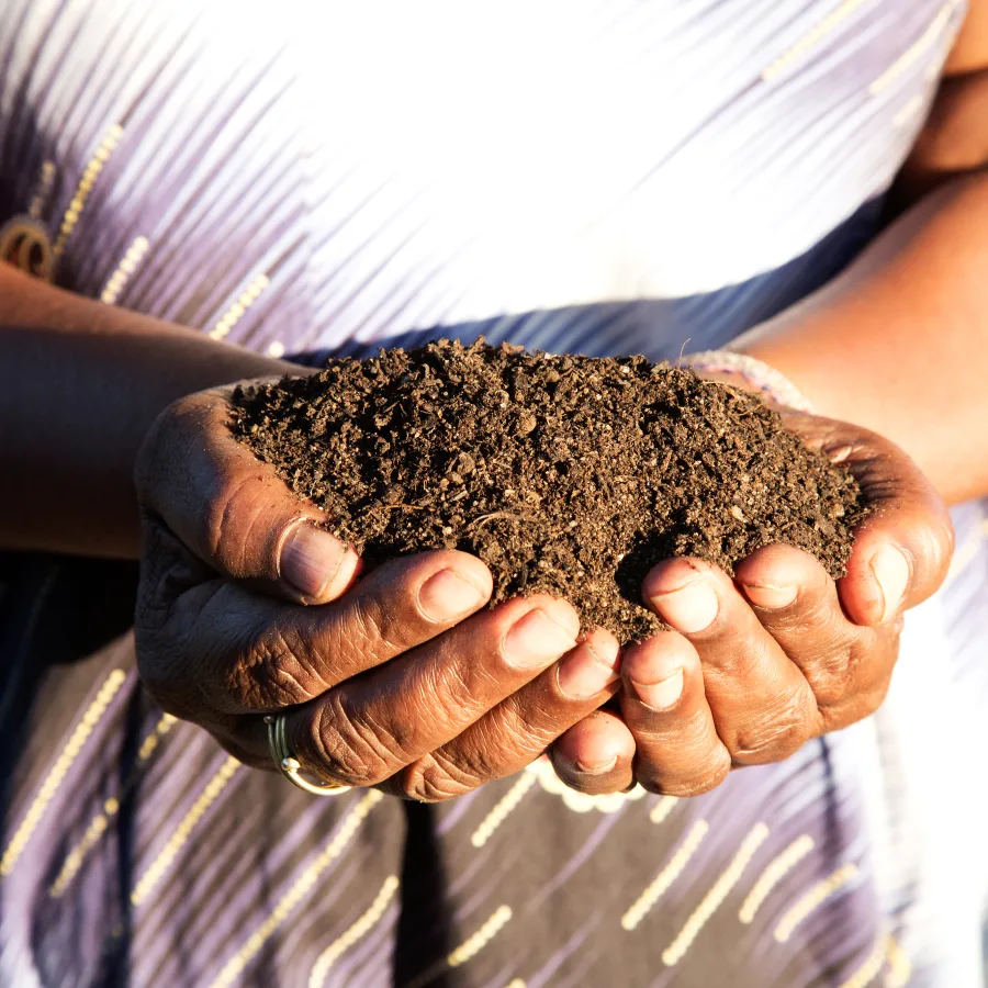 Le conseil urbain génère des revenus en vendant le compost aux agriculteurs biologiques, qui y trouvent une alternative écologique aux amendements synthétiques.