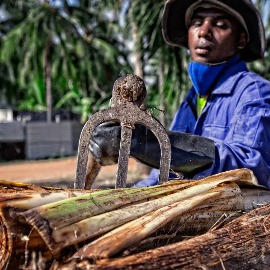 Un site de compostage a été mis en place pour transformer les matières organiques récupérés à partir des déchets solides en matières utiles à l’agriculture biologique.