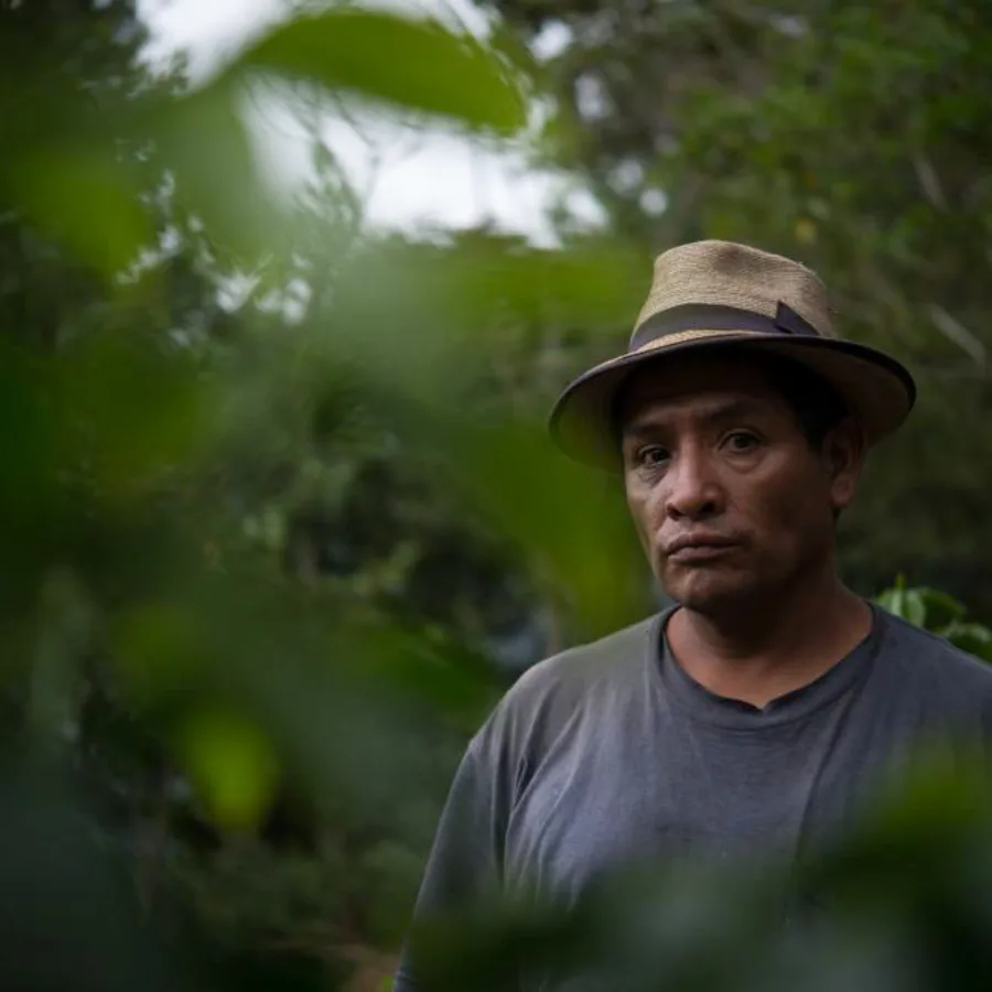 El agricultor de café Francisco Matom Bernal formaba parte de un colectivo de agricultores que fueron realojados cerca de Nebaj, en el altiplano occidental de Guatemala, tras la guerra.
