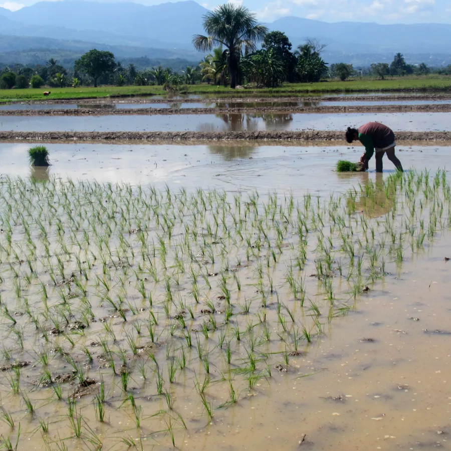 UNOPS and UNEP are jointly working with the National Water Authority (ANA) to strengthen institutional capacities for integrated water management.