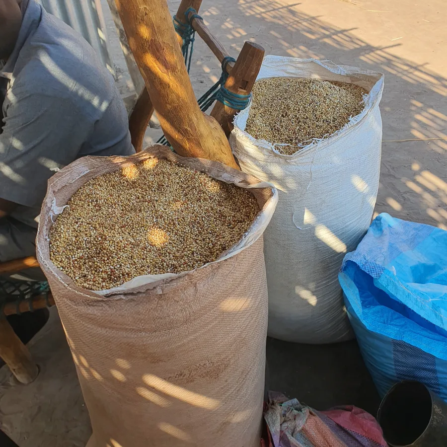 Los agricultores exhiben sus productos en el mercado de Bar-Urud.