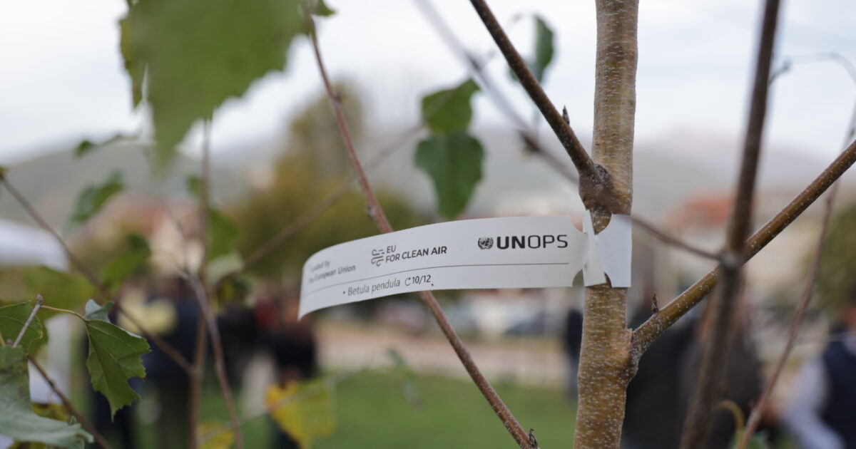 EU4CleanAir — Trees, Efficient Heating and Low-Emission Buses to Cut Skopje's Smog