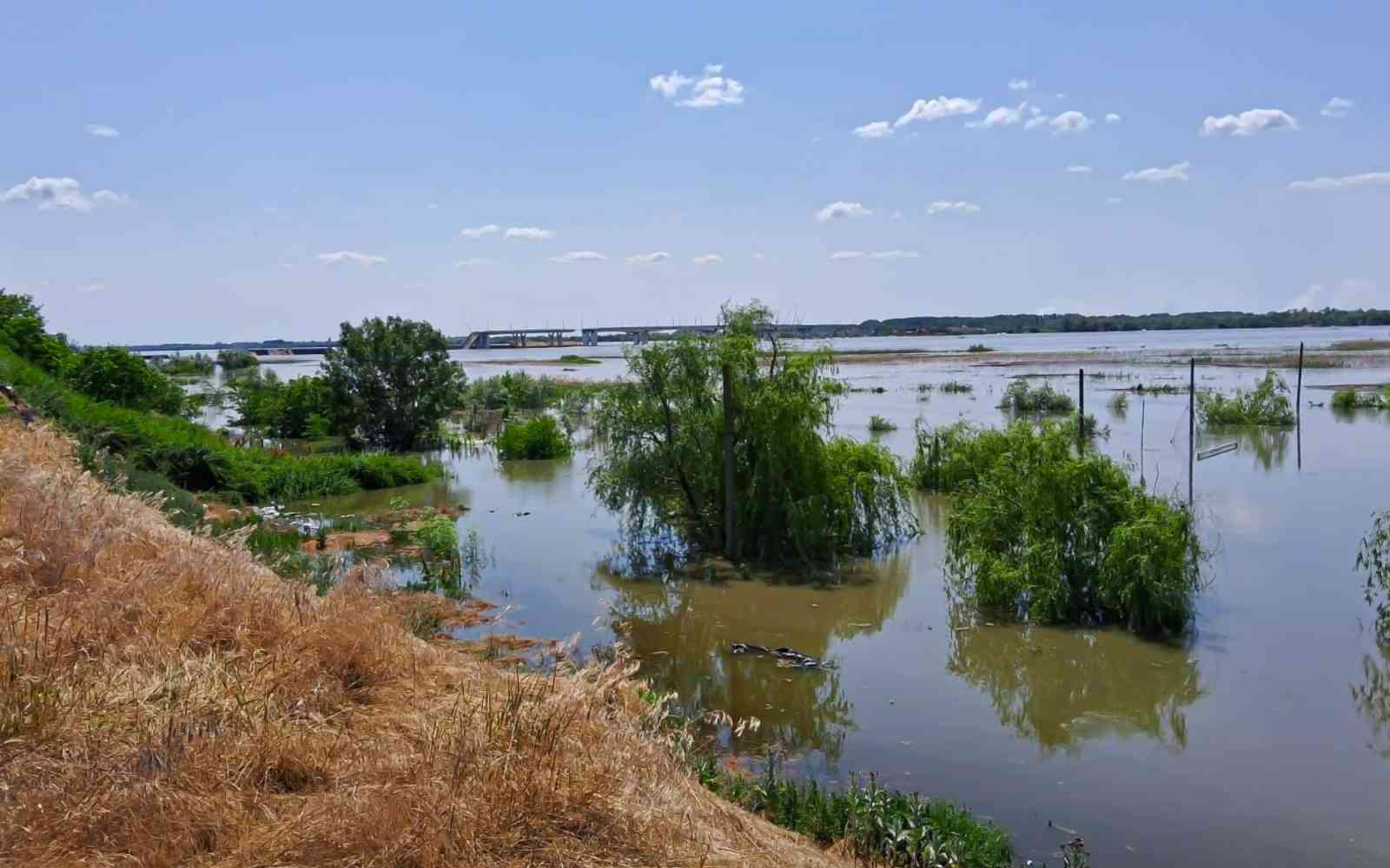 The flooded shore after the breach at Nova Kakhovka Dam