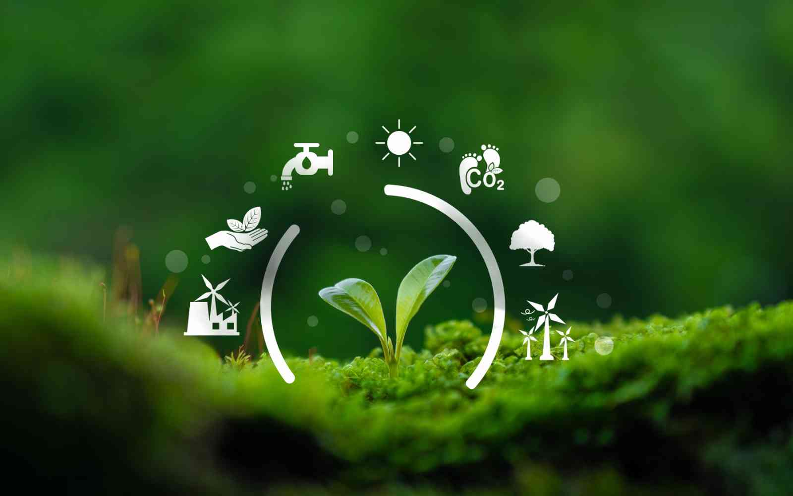 Carbon neutral concept, growing seedlings towards net zero greenhouse gas emissions with icons on green forest background