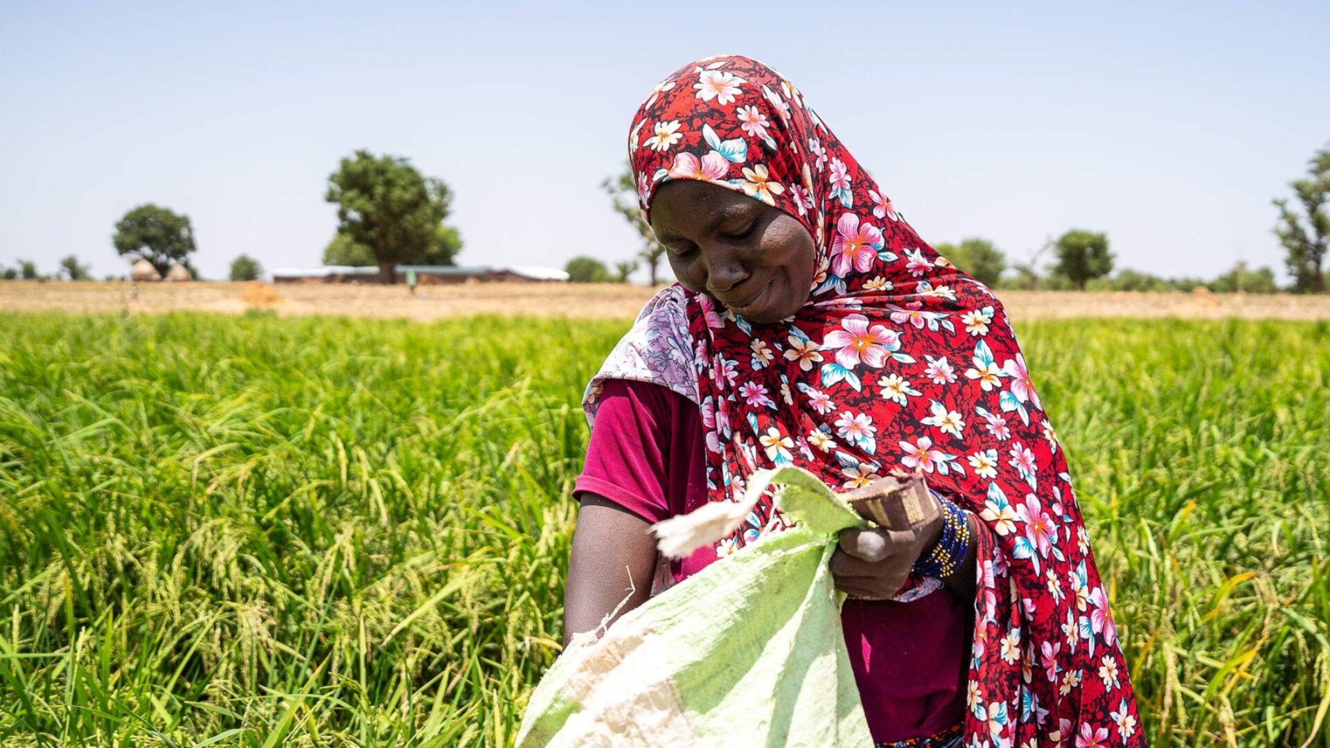 Agir pour le climat, bâtir la résilience